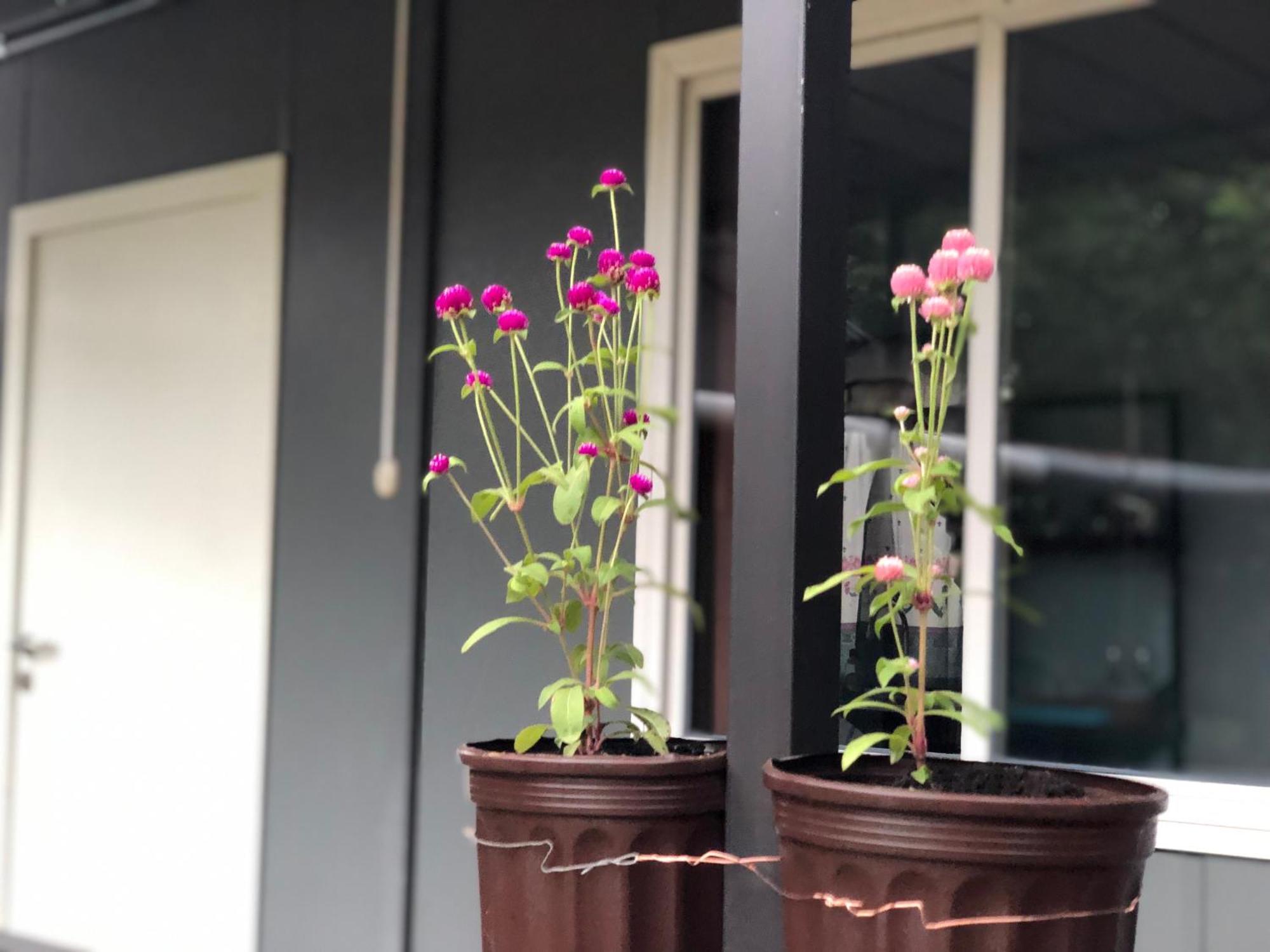Apartamentos Equipados Dmr #3 Uvita Dış mekan fotoğraf