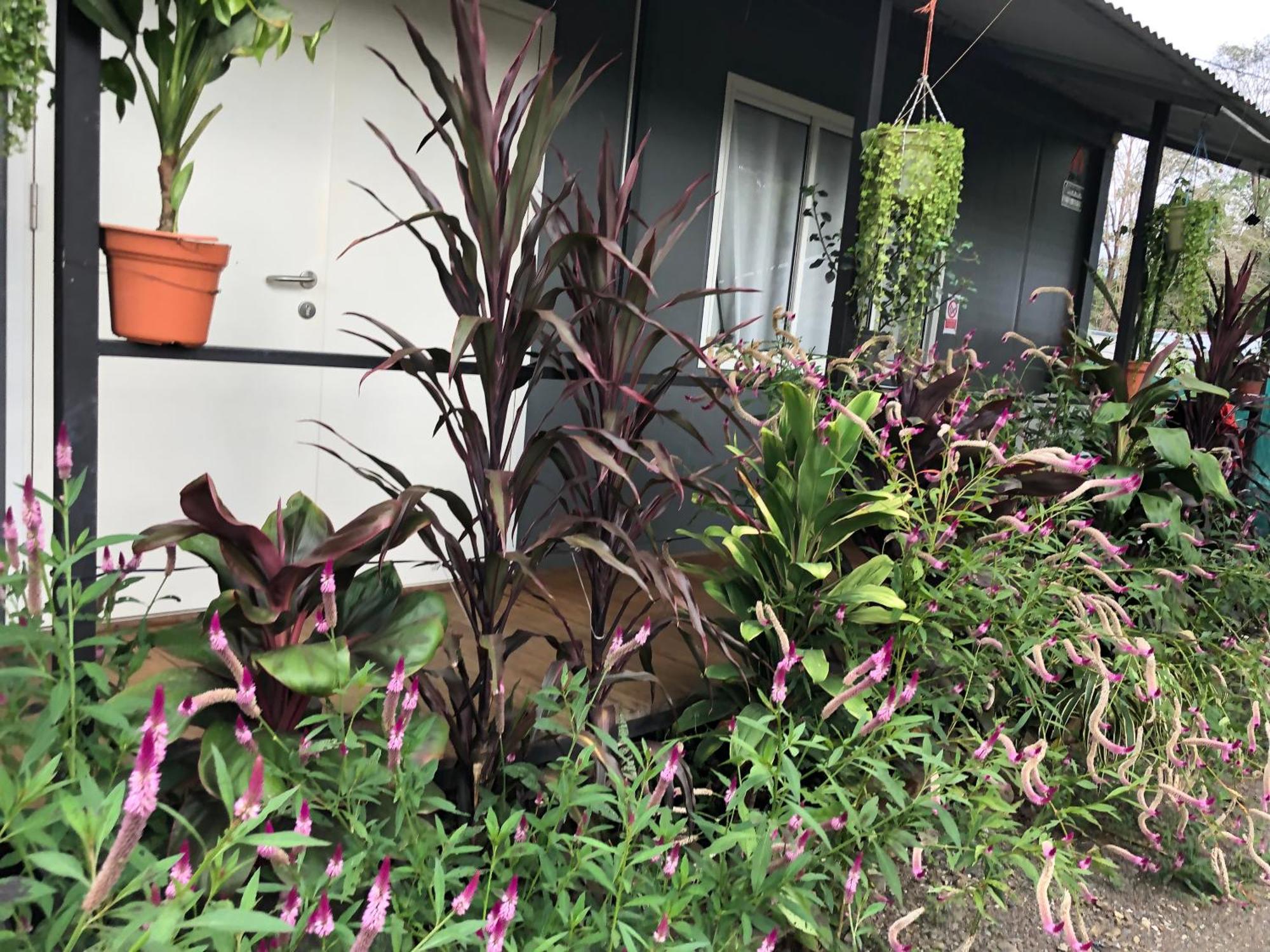 Apartamentos Equipados Dmr #3 Uvita Dış mekan fotoğraf